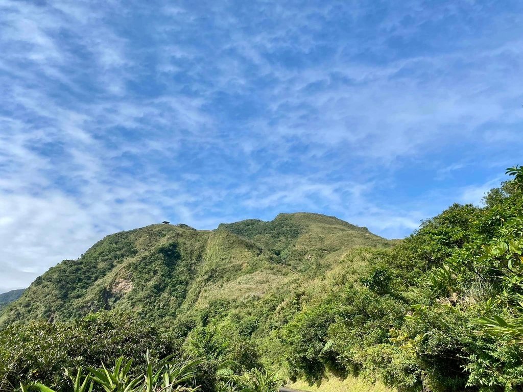 【宜蘭頭城】草嶺古道&amp;桃源谷草嶺線