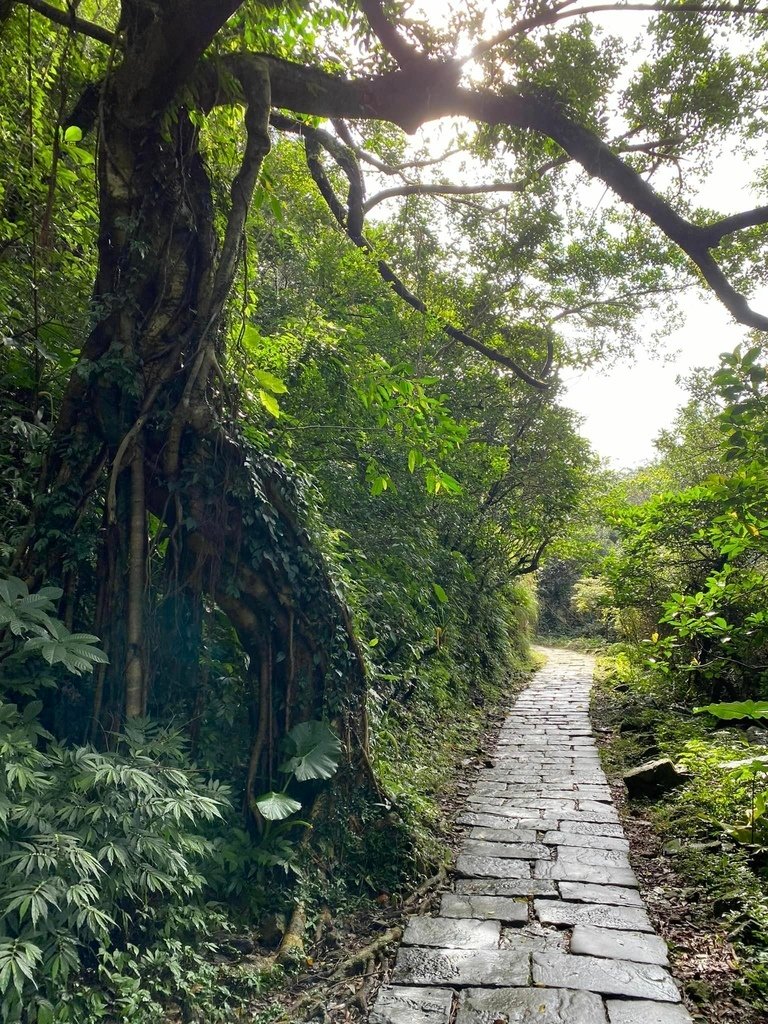 【宜蘭頭城】草嶺古道&amp;桃源谷草嶺線