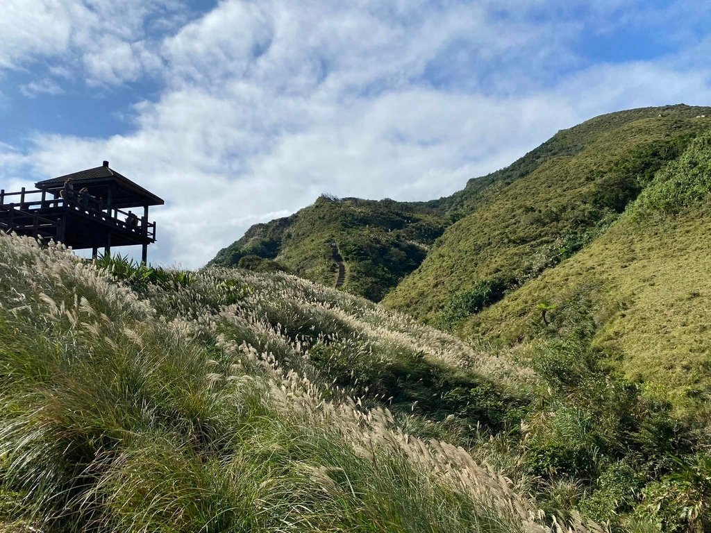 【宜蘭頭城】草嶺古道&amp;桃源谷草嶺線