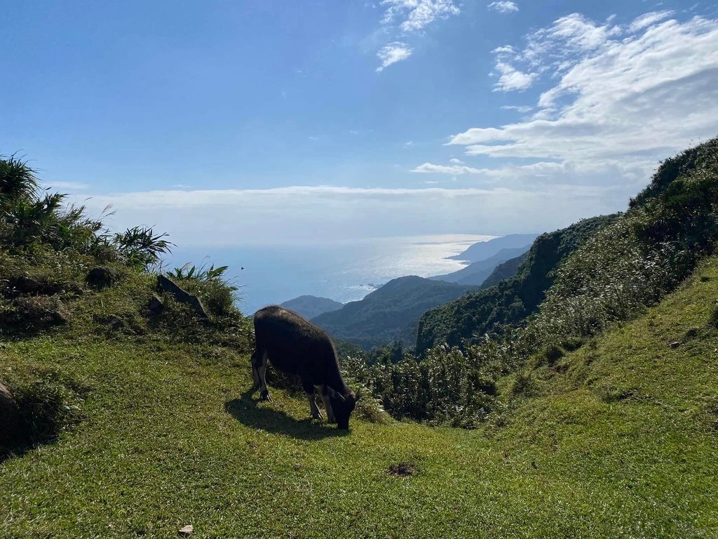 【宜蘭頭城】草嶺古道&amp;桃源谷草嶺線