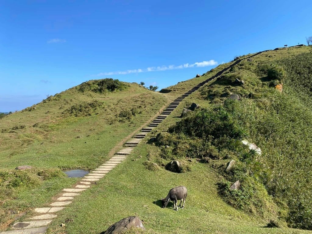 【宜蘭頭城】草嶺古道&amp;桃源谷草嶺線