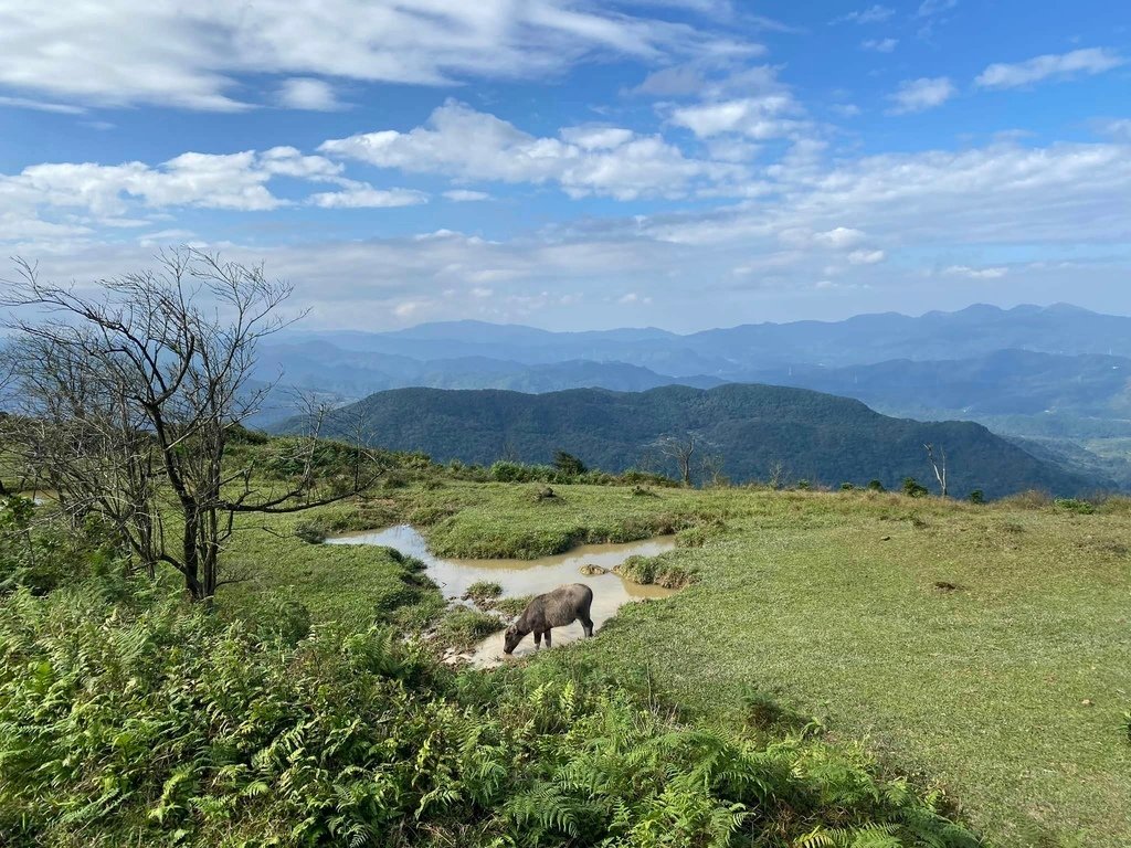 【宜蘭頭城】草嶺古道&amp;桃源谷草嶺線