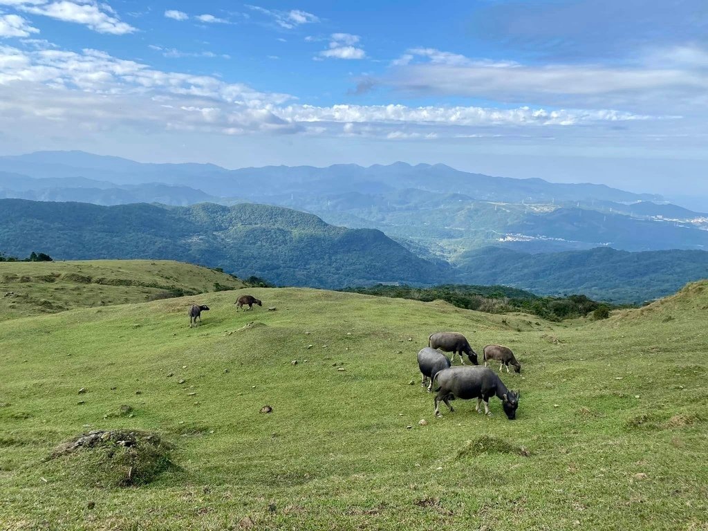 【宜蘭頭城】草嶺古道&amp;桃源谷草嶺線