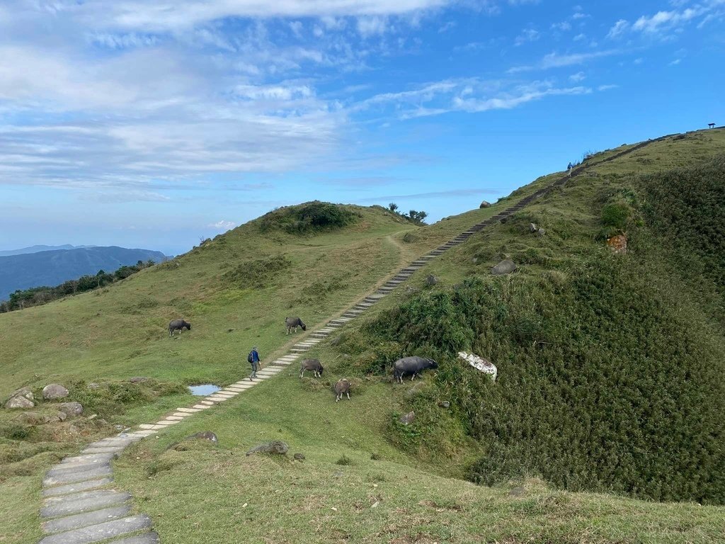 【宜蘭頭城】草嶺古道&amp;桃源谷草嶺線