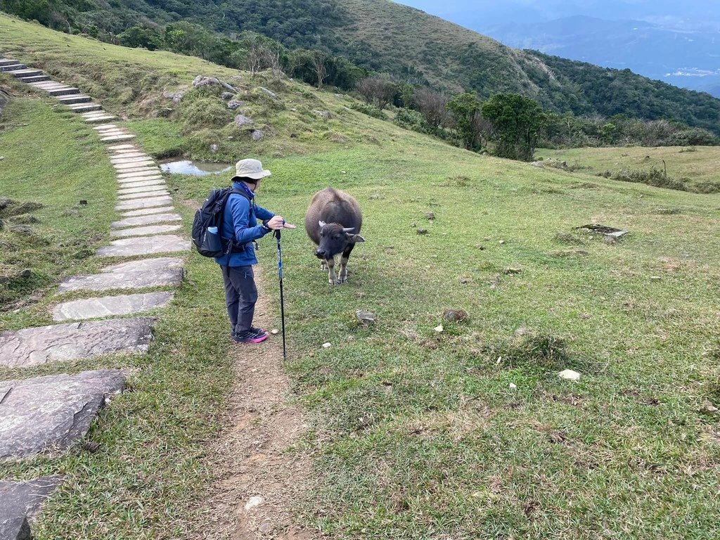 【宜蘭頭城】草嶺古道&amp;桃源谷草嶺線