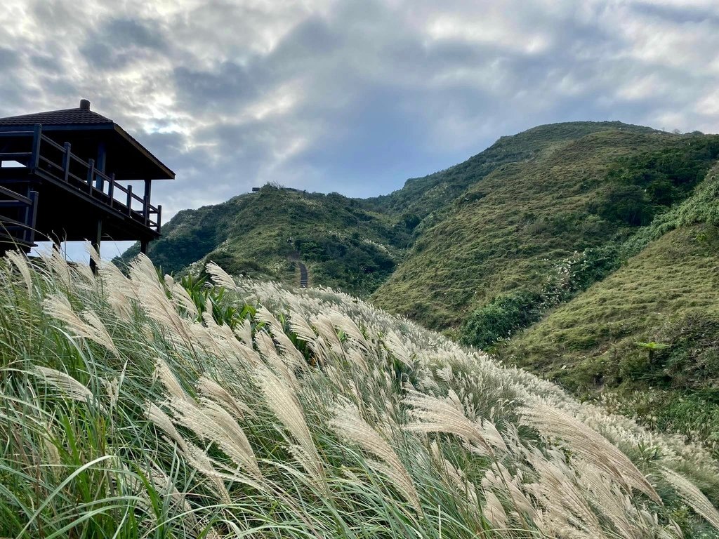 【宜蘭頭城】草嶺古道&amp;桃源谷草嶺線