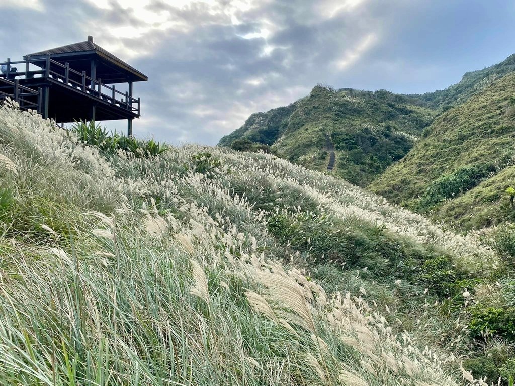 【宜蘭頭城】草嶺古道&amp;桃源谷草嶺線