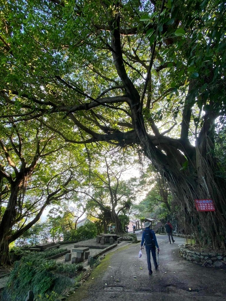 【宜蘭頭城】草嶺古道&amp;桃源谷草嶺線