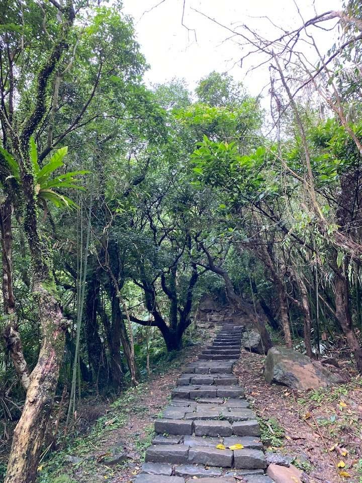 【宜蘭頭城】草嶺古道&amp;桃源谷草嶺線