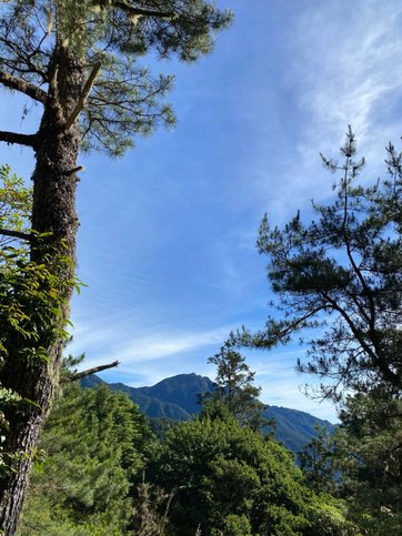 【台中和平】雪山東峰