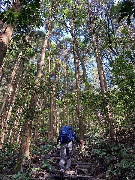 【台中和平】長壽山
