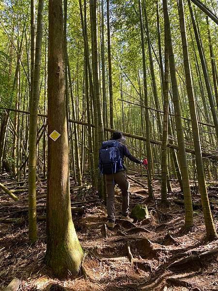 【台中和平】長壽山