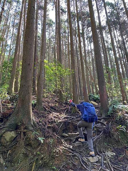 【台中和平】長壽山