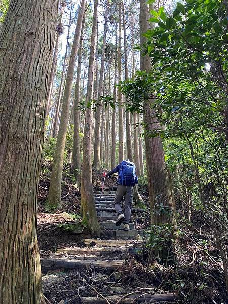 【台中和平】長壽山