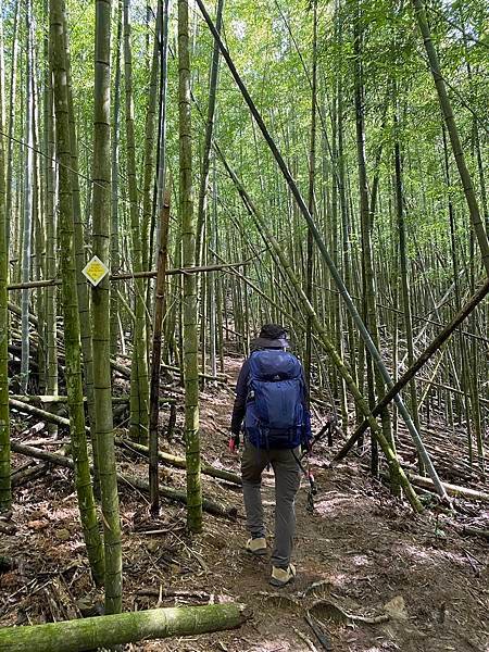 【台中和平】長壽山