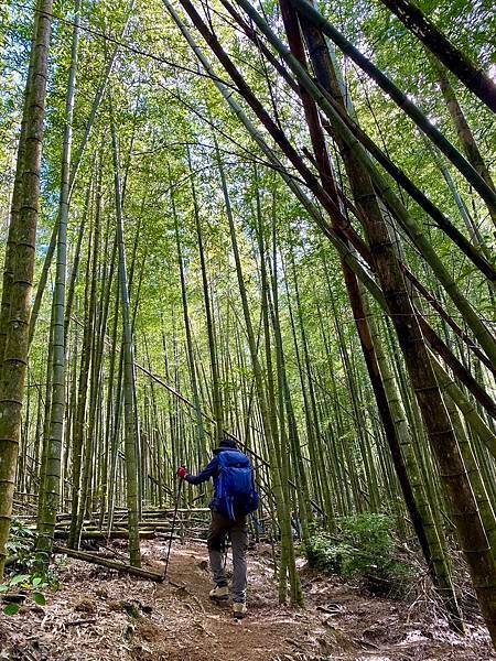 【台中和平】長壽山