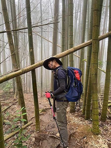 【台中和平】長壽山