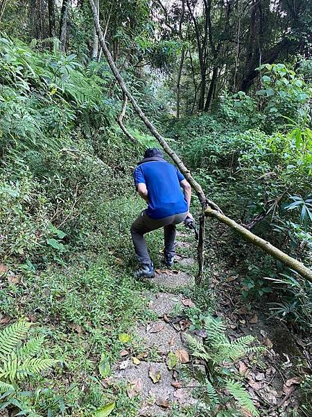 【南投魚池】魚池尖步道(魚池富山)