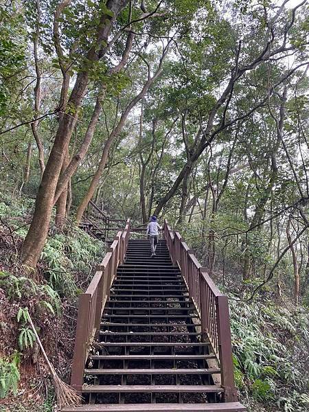 【彰化-南投】橫山觀日步道