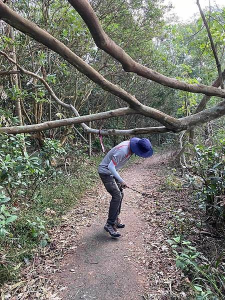 【彰化-南投】橫山觀日步道