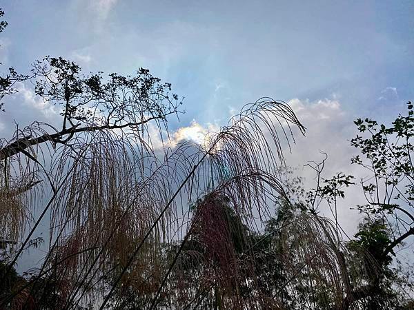 【彰化-南投】橫山觀日步道