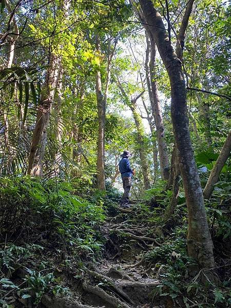 【桃園龍潭】太平山&amp;石門山