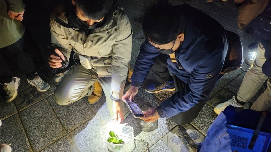 【蟬說：夕陽漫漫】台中高美濕地親子旅遊推薦,夢幻豪華露營區,