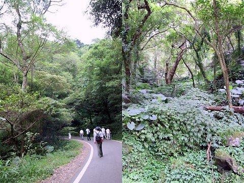 20100708後慈湖2.jpg