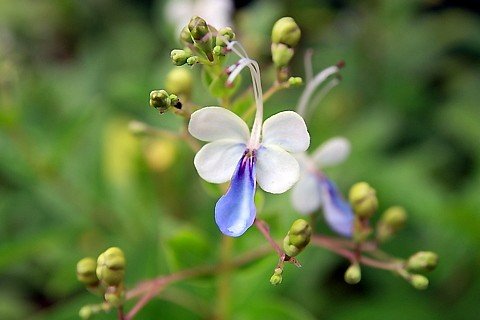 IMG_2266.JPG