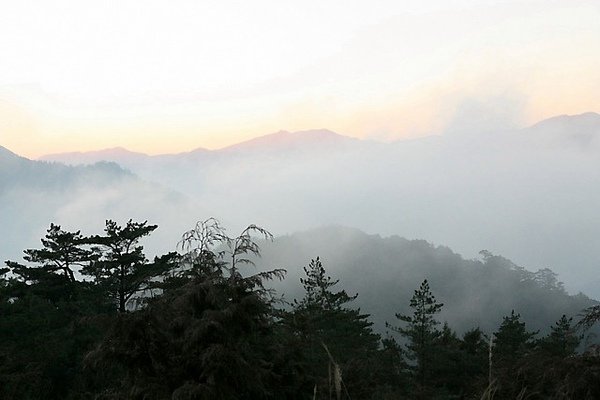 IMG_9487.JPG