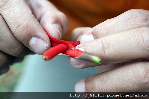 IMG_6664-1.JPG