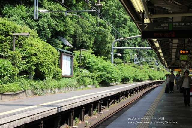 TOKYO&gt;&gt;DAY2 明治神宮參拜