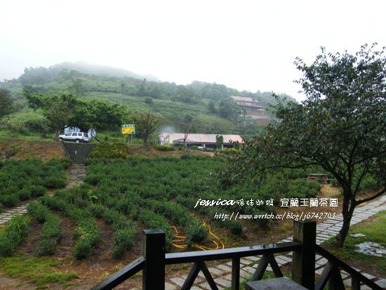 &lt;遊記&gt;宜蘭.煙雨濛濛茶香四溢 之玉蘭茶園