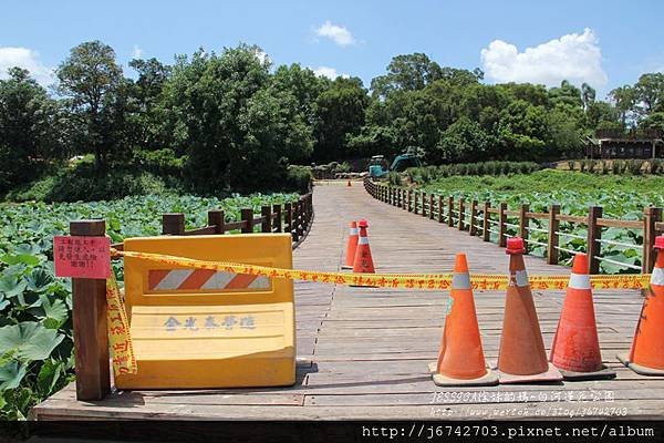 白河蓮花公園 (5)