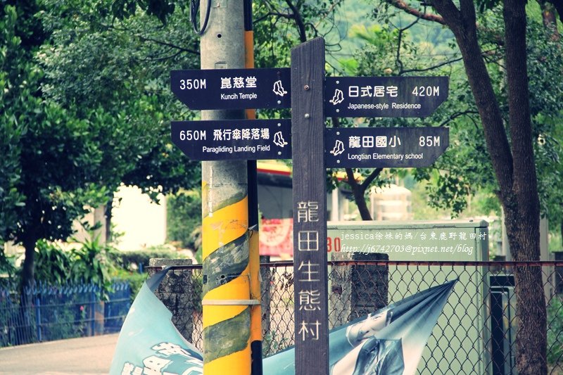 &lt;遊記&gt;2014台東輕旅行~鹿野龍田移民村/龍田國小百年黑松