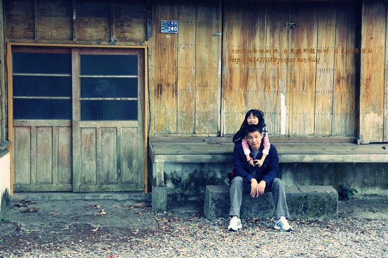 &lt;遊記&gt;2014台東輕旅行~鹿野龍田移民村/龍田國小百年黑松