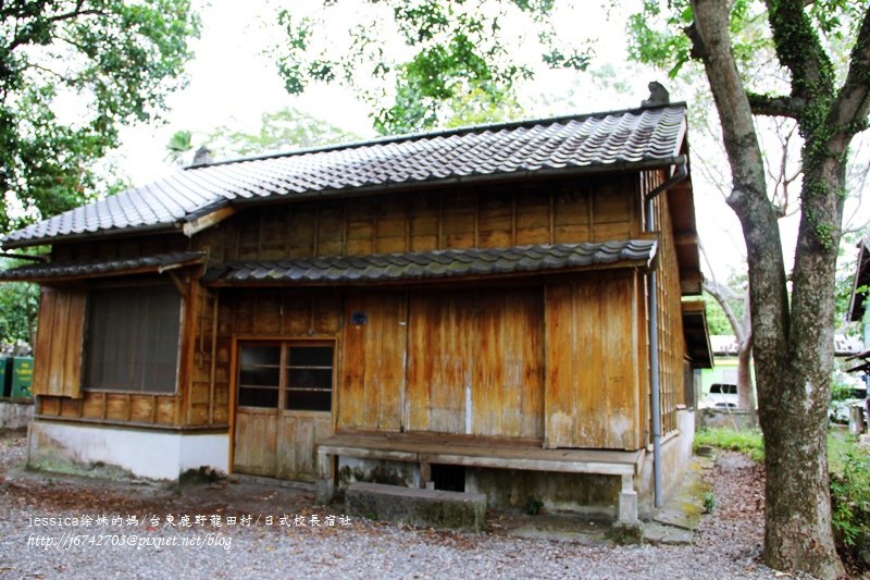 &lt;遊記&gt;2014台東輕旅行~鹿野龍田移民村/龍田國小百年黑松