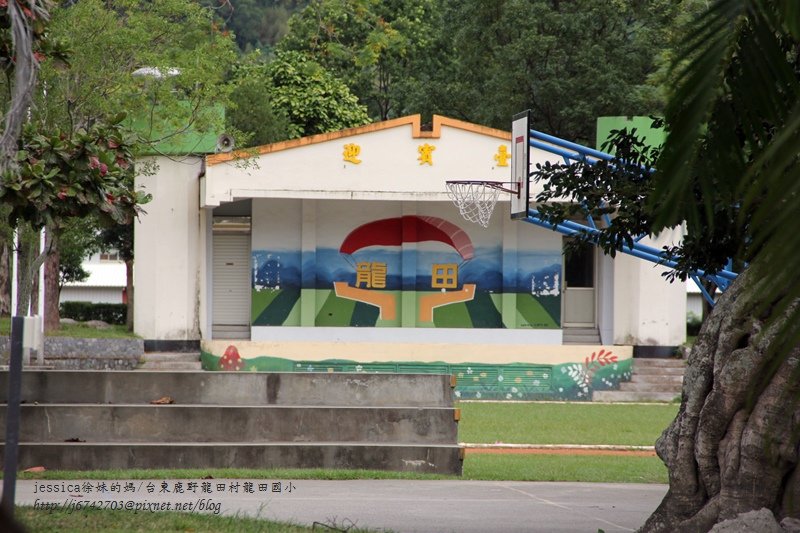&lt;遊記&gt;2014台東輕旅行~鹿野龍田移民村/龍田國小百年黑松