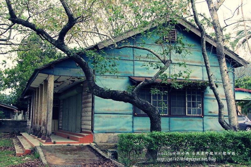 &lt;遊記&gt;2014台東輕旅行~鹿野龍田移民村/龍田國小百年黑松