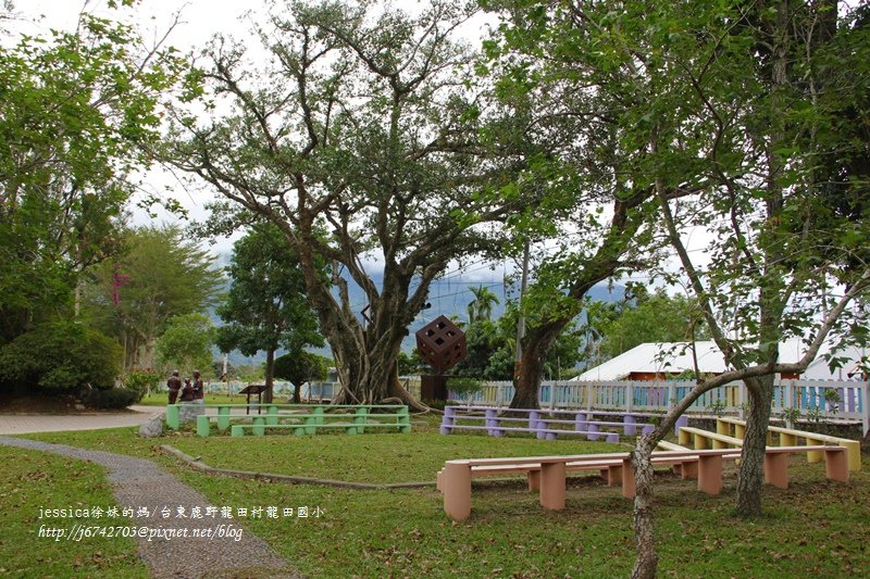 &lt;遊記&gt;2014台東輕旅行~鹿野龍田移民村/龍田國小百年黑松