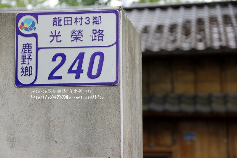 &lt;遊記&gt;2014台東輕旅行~鹿野龍田移民村/龍田國小百年黑松