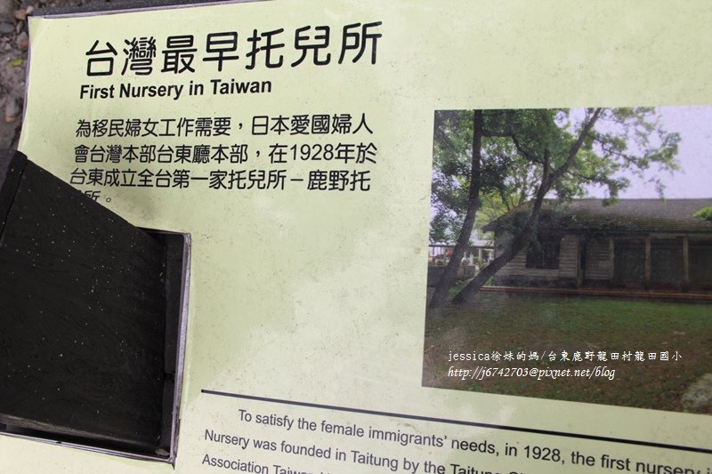 &lt;遊記&gt;2014台東輕旅行~鹿野龍田移民村/龍田國小百年黑松