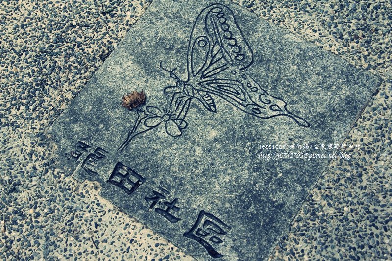 &lt;遊記&gt;2014台東輕旅行~鹿野龍田移民村/龍田國小百年黑松