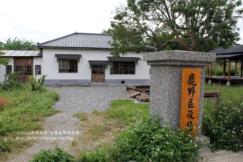 &lt;遊記&gt;2014台東輕旅行~鹿野龍田移民村/龍田國小百年黑松