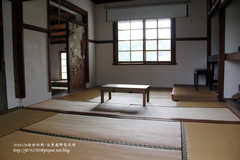 &lt;遊記&gt;2014台東輕旅行~鹿野龍田移民村/龍田國小百年黑松