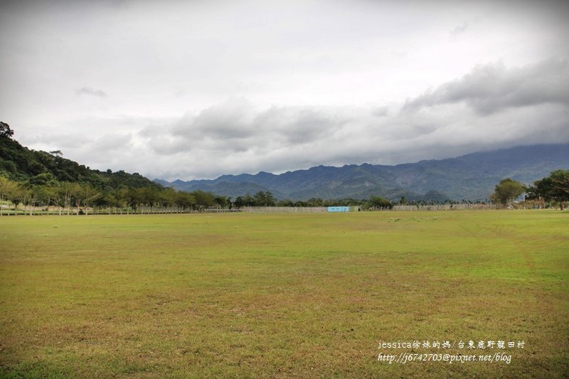 &lt;遊記&gt;2014台東輕旅行~鹿野龍田移民村/龍田國小百年黑松