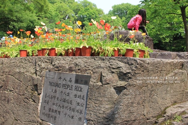 2017蘇州六日遊~五A景區虎丘