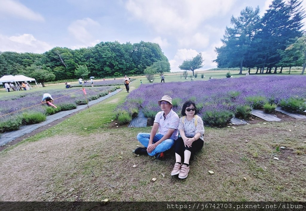 2023.7.14北海道自由行D6 札幌超人氣景點~羊之丘展