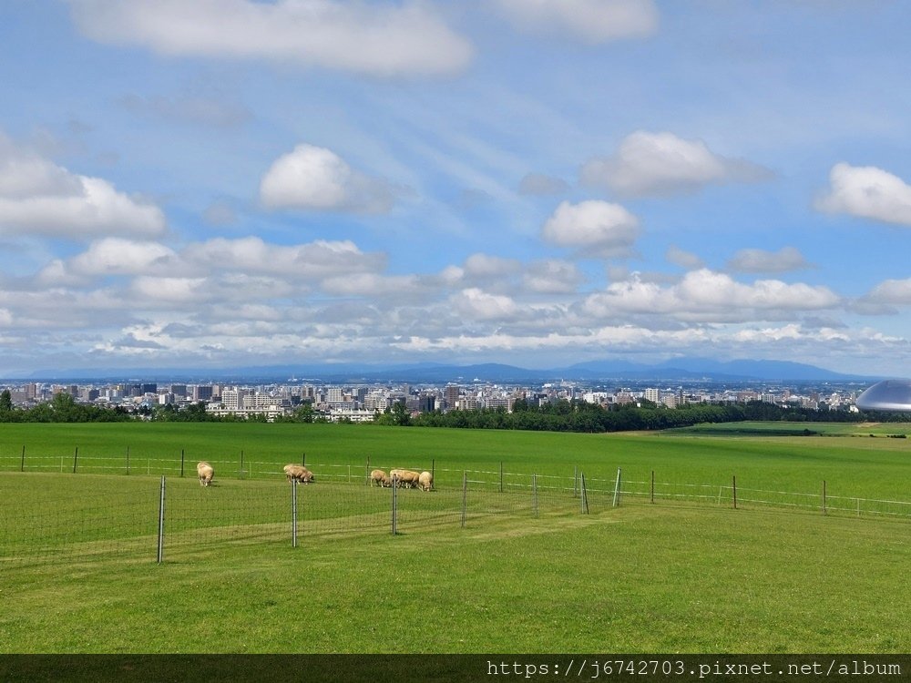 2023.7.14北海道自由行D6 札幌超人氣景點~羊之丘展