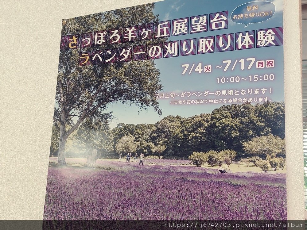 2023.7.14北海道自由行D6 札幌超人氣景點~羊之丘展